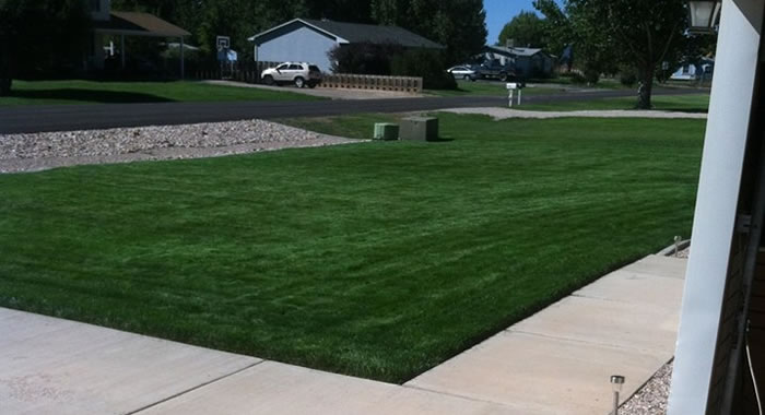 Lawn Mowing Cedar City Utah