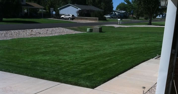 Trimming Around Edges Of Lawn Cedar City Utah