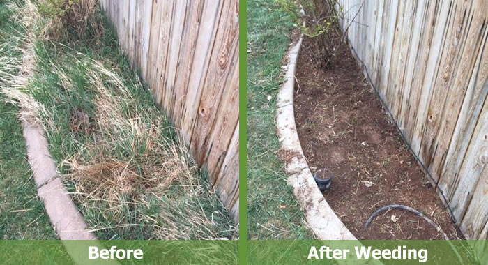 Weeds removal deals service